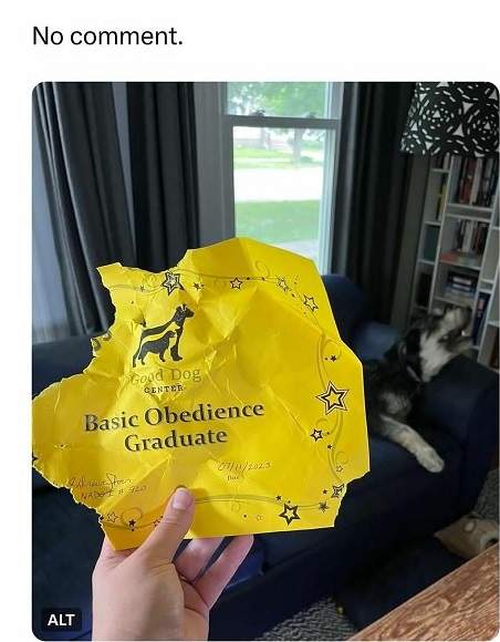 obedience.jpg