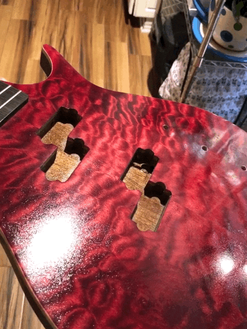 Octo_7153.gif