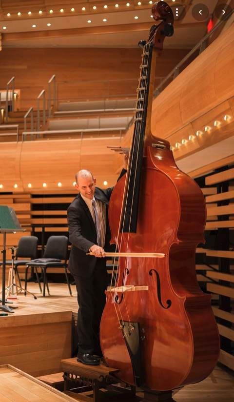 Octobass.jpg