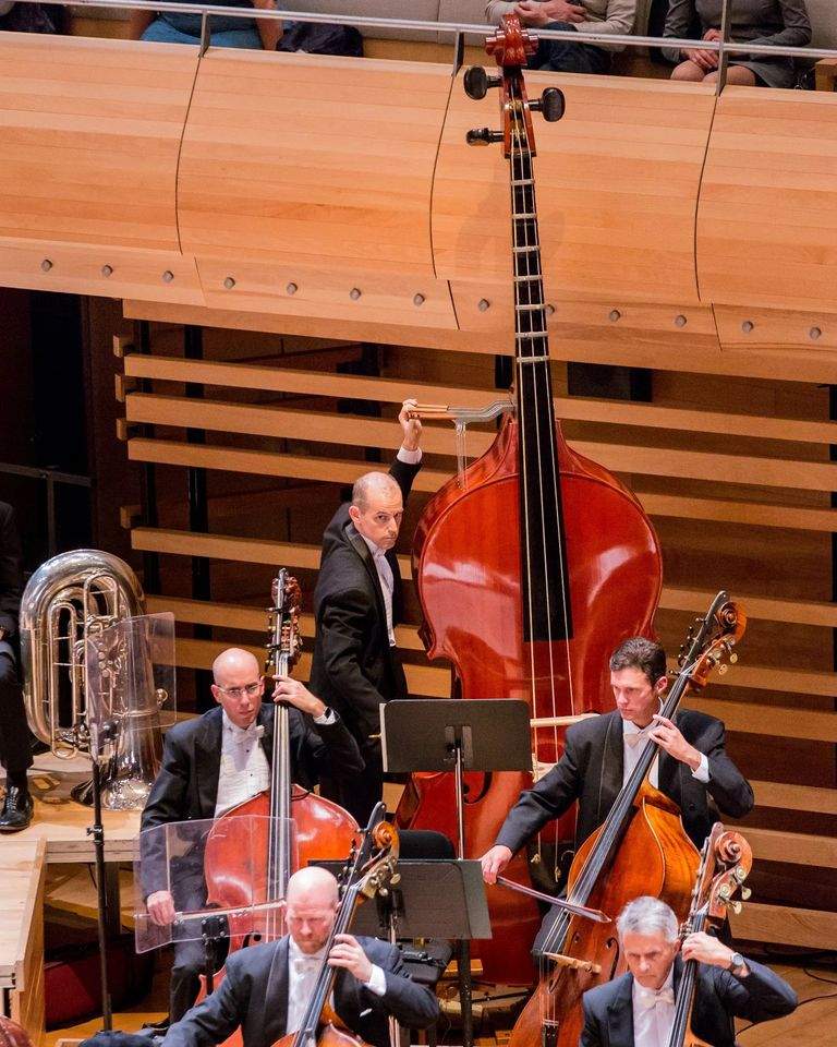 Octobass.jpg