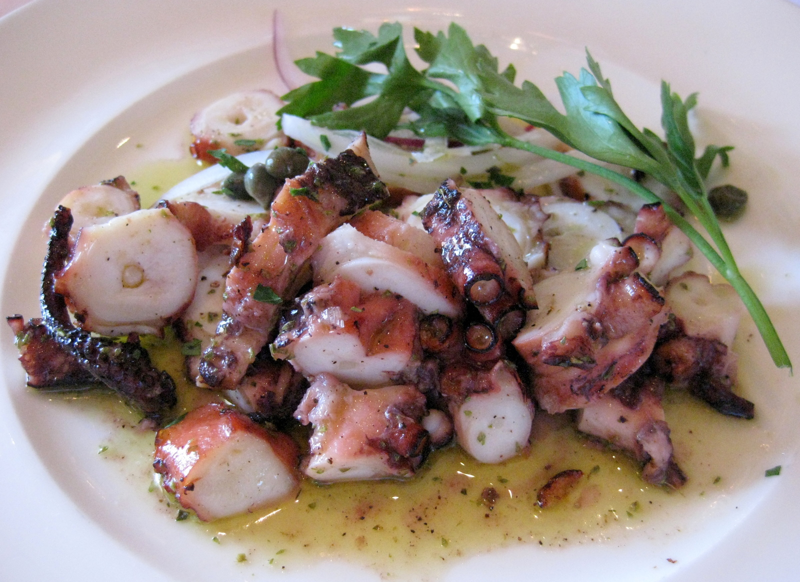 octopus.jpg