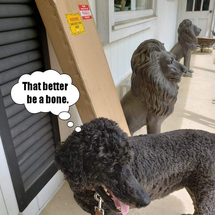 Odin-NBD-cap.jpg