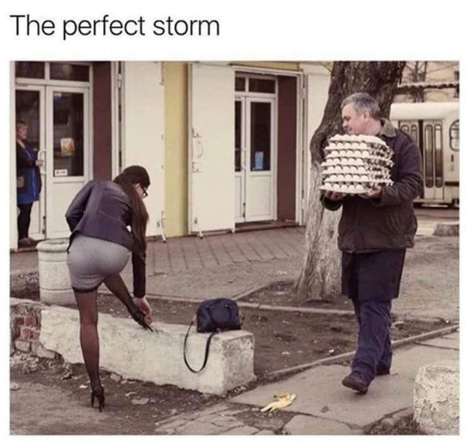OEDsoIL.jpg