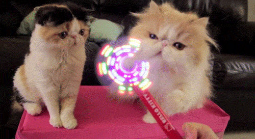 Oh-yeah-its-fun.gif