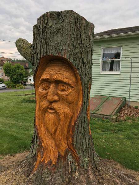 Old man in tree.jpg