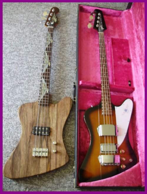 old-new-birds.jpg