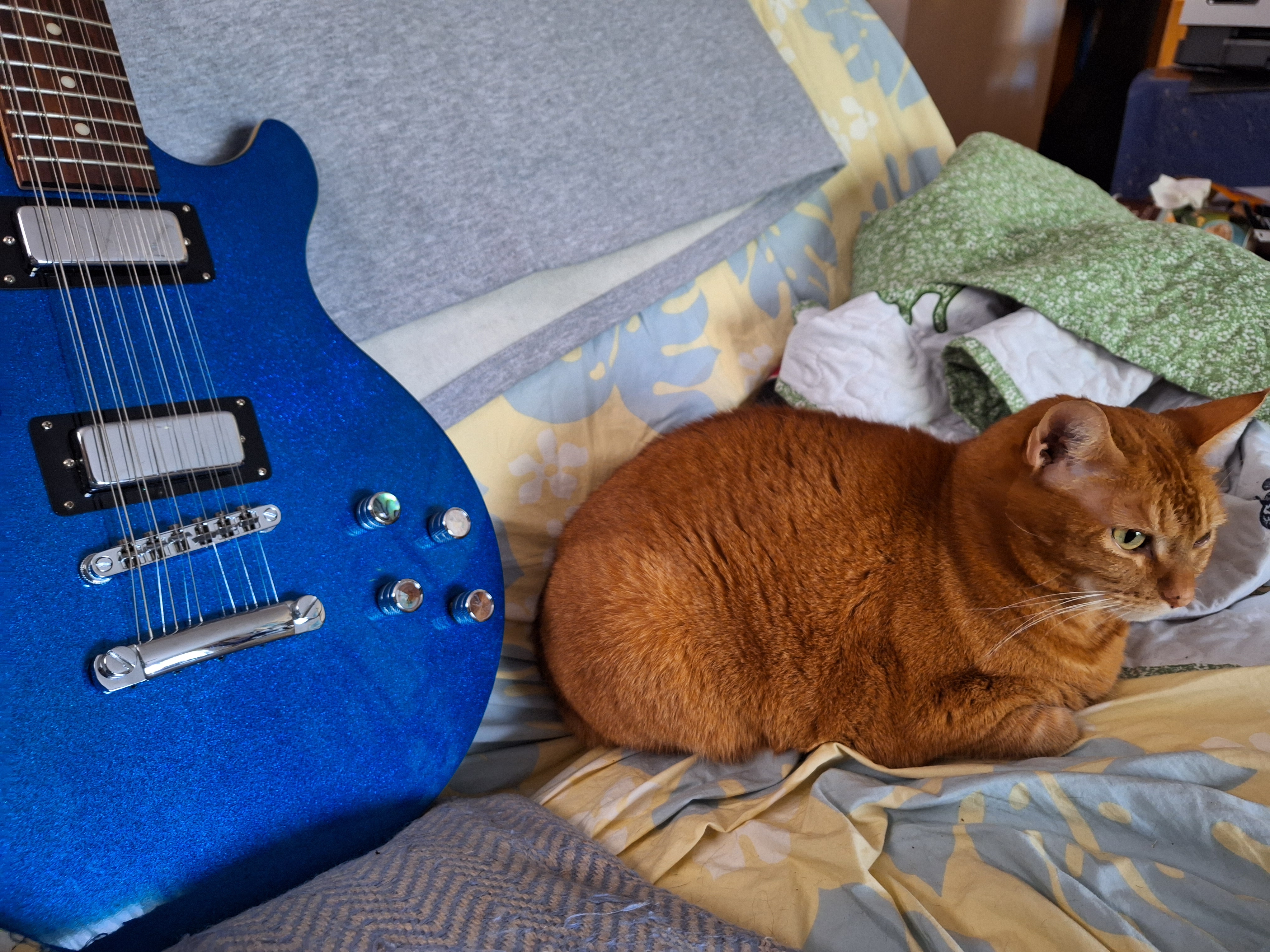 Olivia 12-string.jpg
