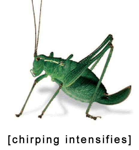 omE4ubi.gif