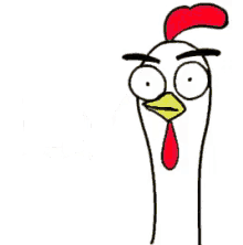 omg-chicken.gif