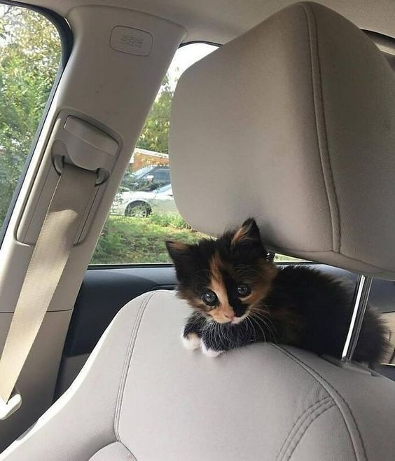 On the road again.jpg