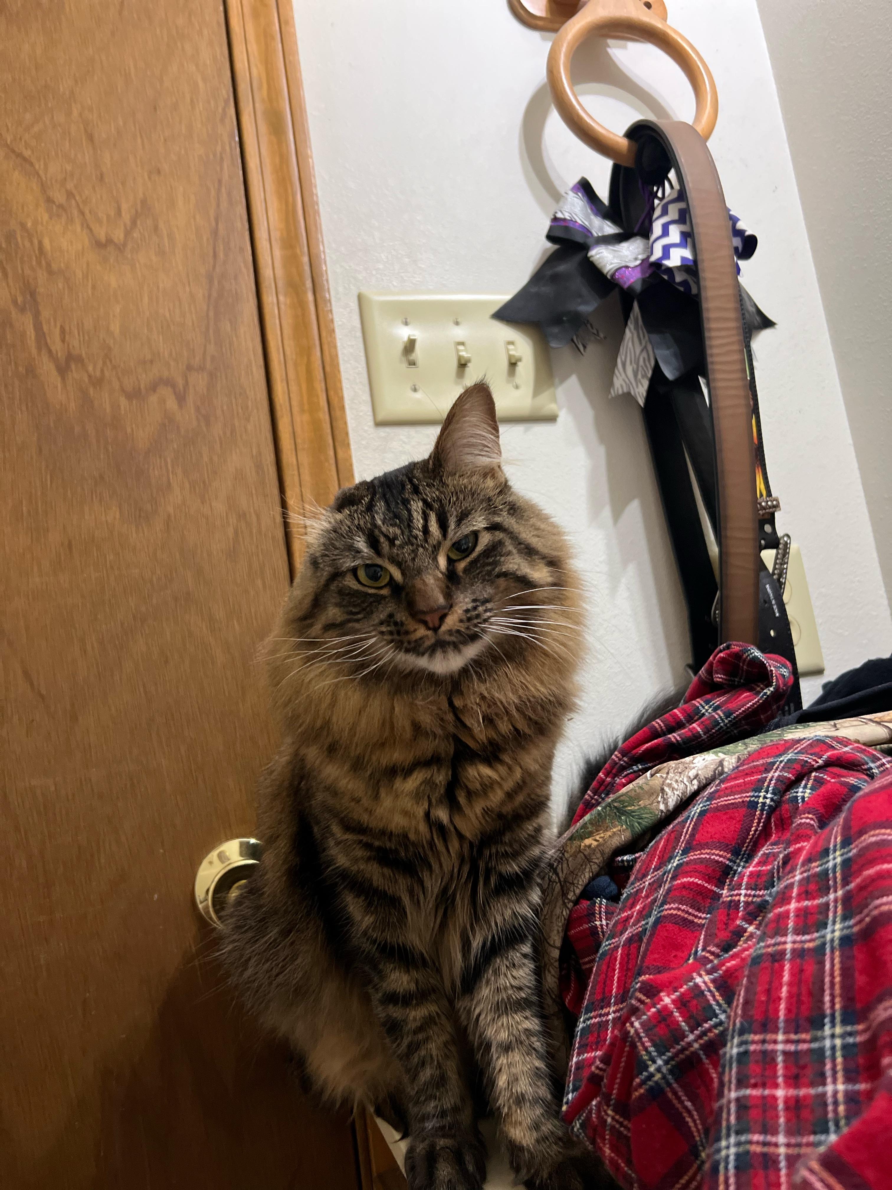 one eared little guy.jpg