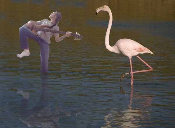 Oniman7Flamingo.jpg