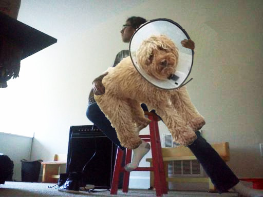 oniman7morosedoggy_zpsbe08cc73.jpg