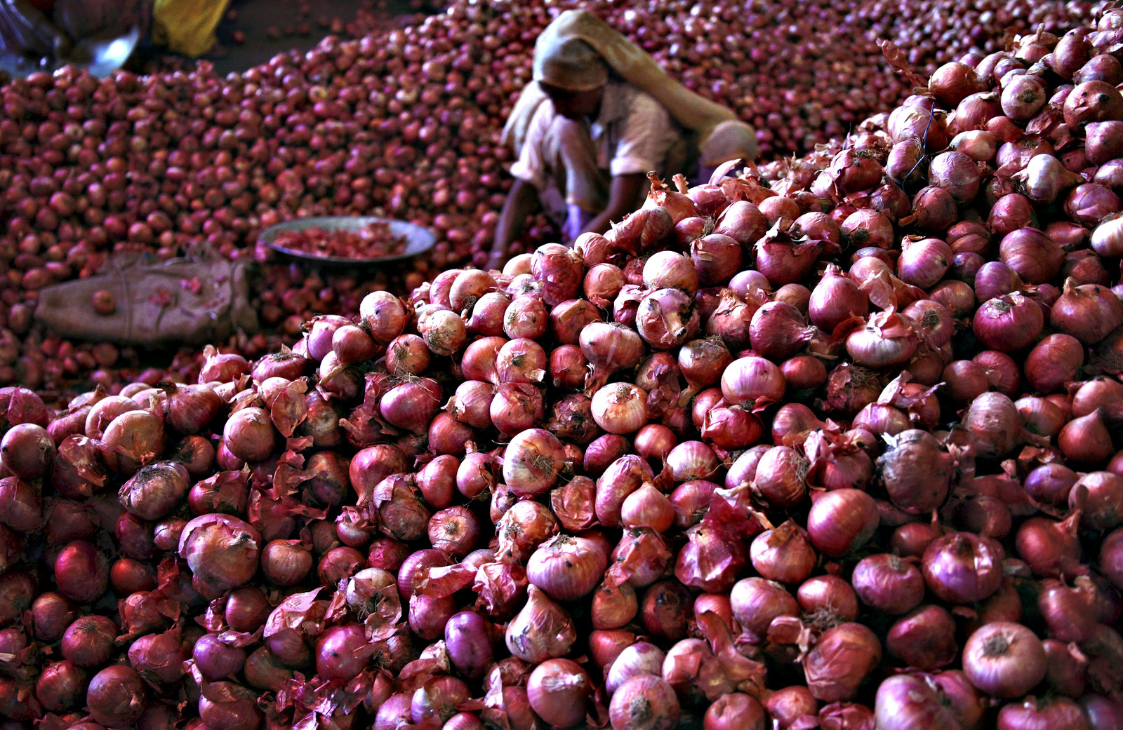 onions.jpg
