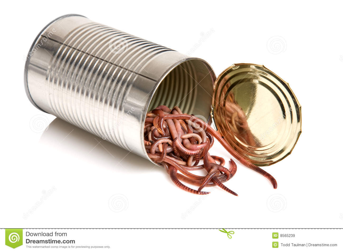 open-can-worms-8565239.jpg