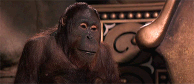 orang monkee face palm.gif