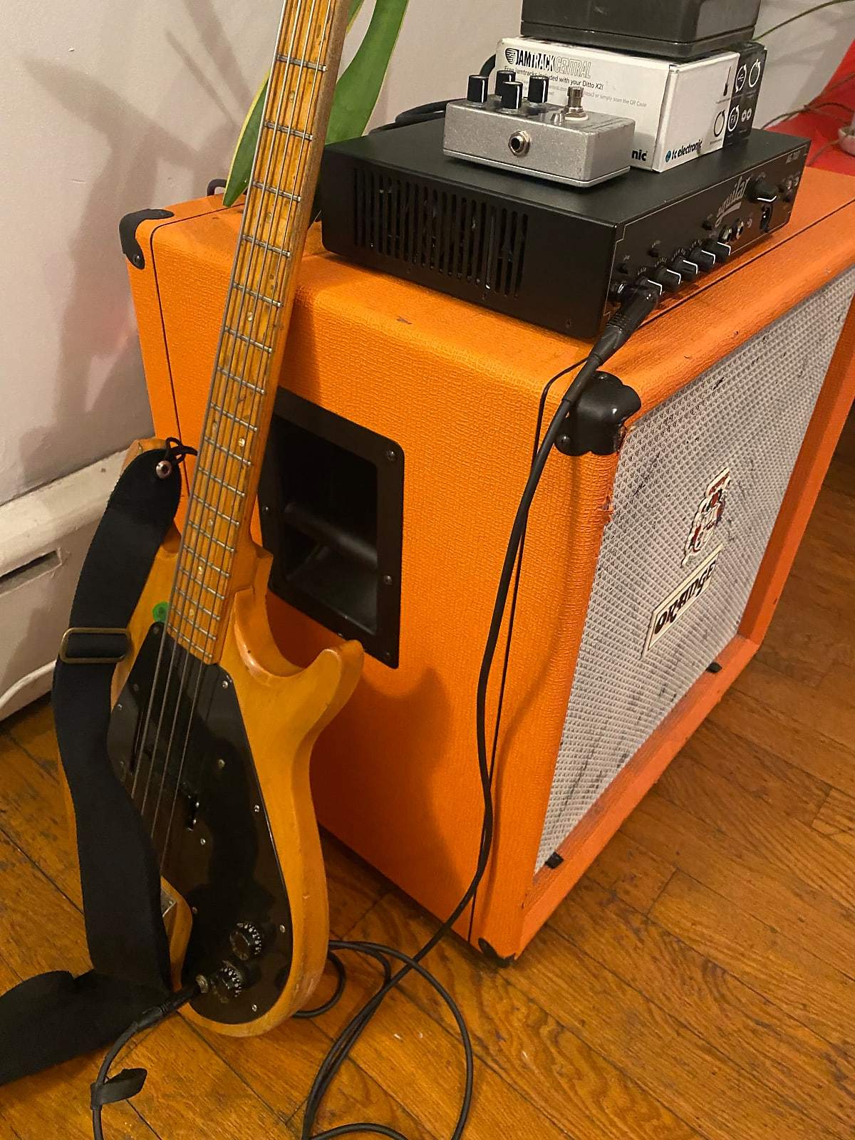 Orange 410 2.jpg
