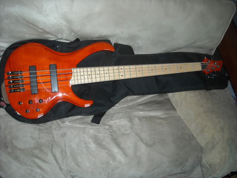 orangebtb001.jpg