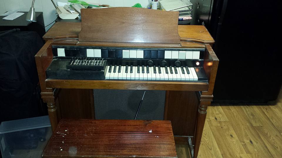 organ.jpg