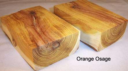 osageOrange.jpg