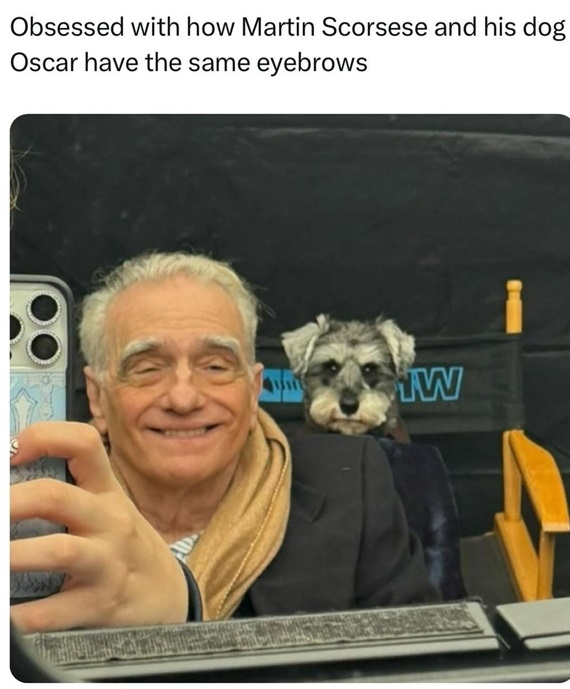 oscar dog.jpg