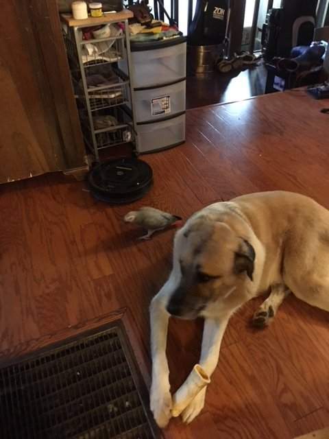 Otto_Molly0218.JPG