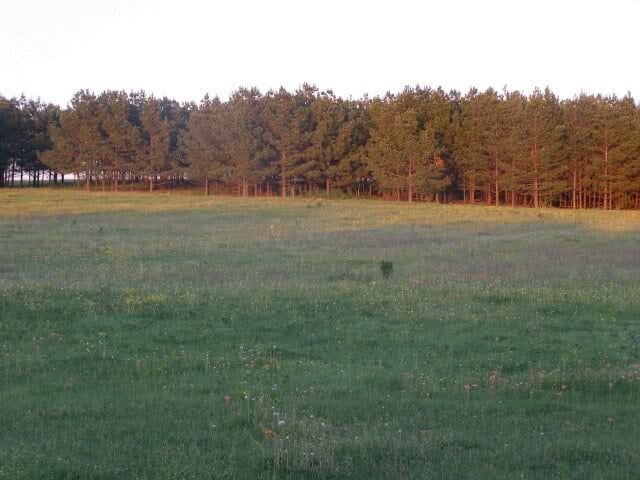 Outside1.jpg