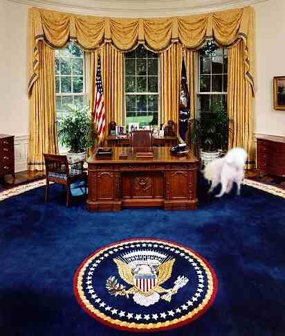 ovaloffice.jpeg