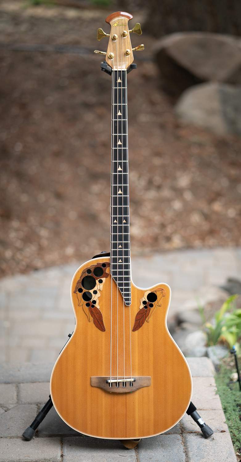 ovation.jpg
