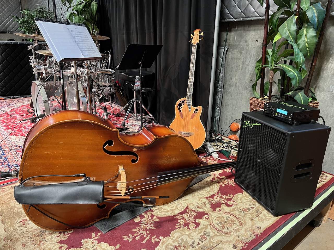 ovation-kay-berg - 1.jpeg