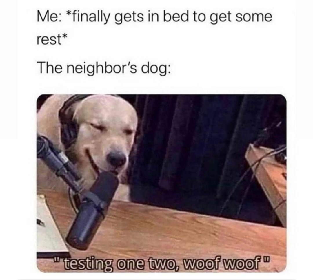 overnight dog bark.jpg