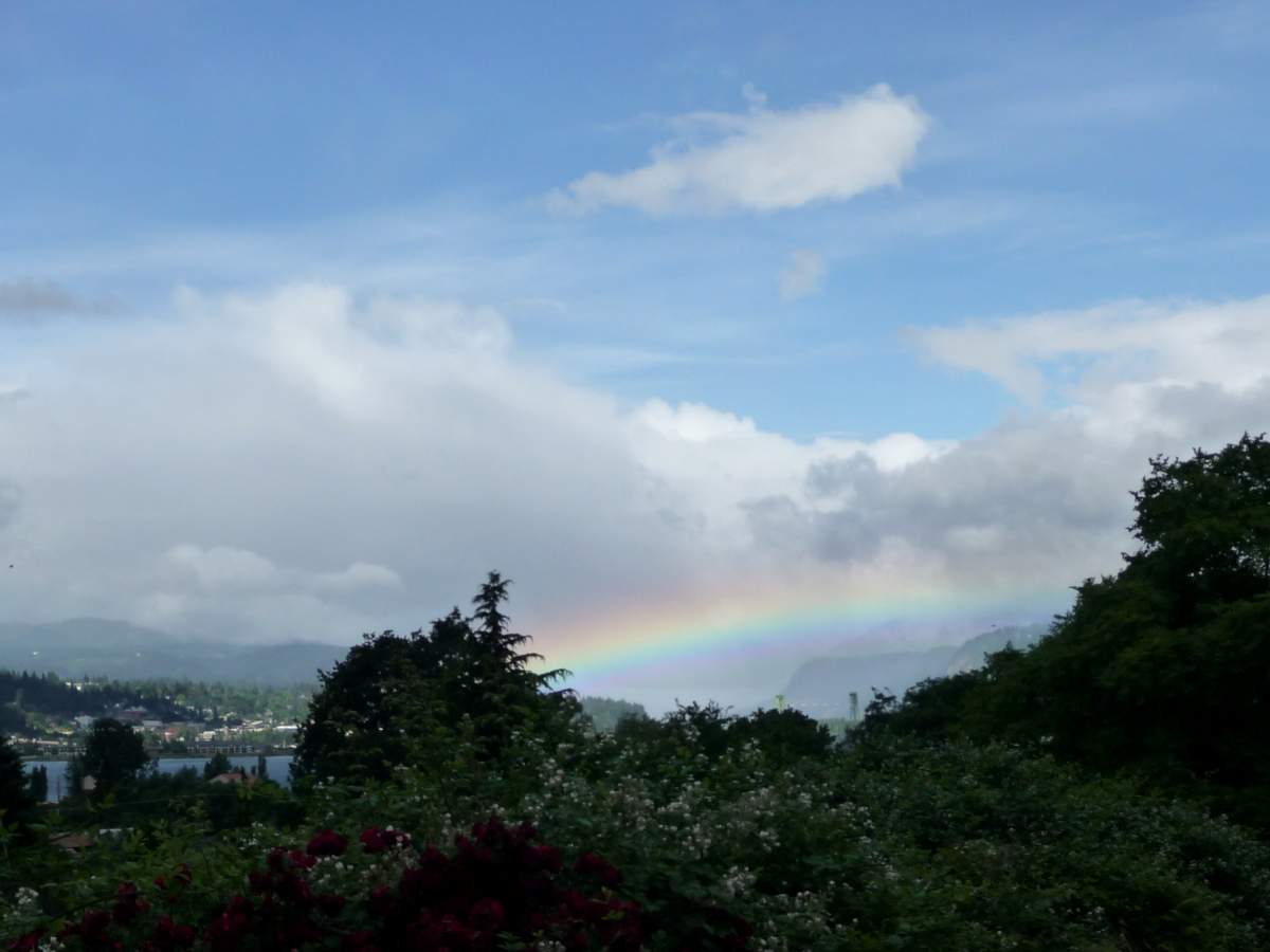 OverThe Rainbow.JPG