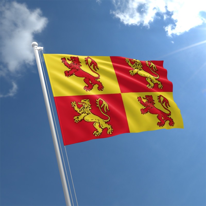 owain-glyndwr-flag-std.jpg