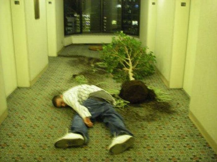 oxy.php?image=http%3A%2F%2Fthewondrous.com%2Fwp-content%2Fuploads%2F2015%2F04%2Fpassed-out-drunk.jpg