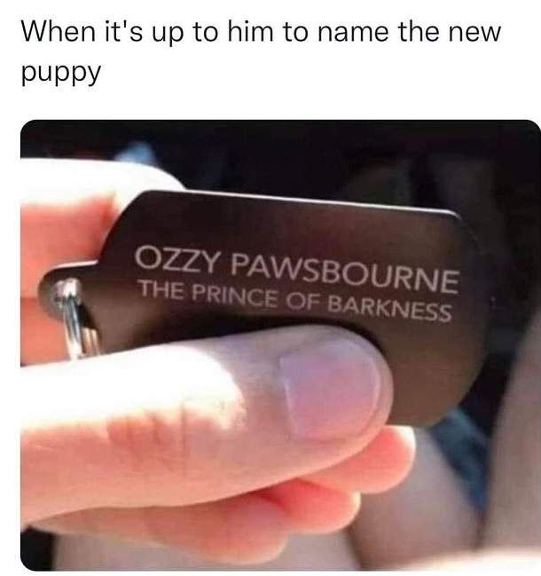 ozzy pup.jpg