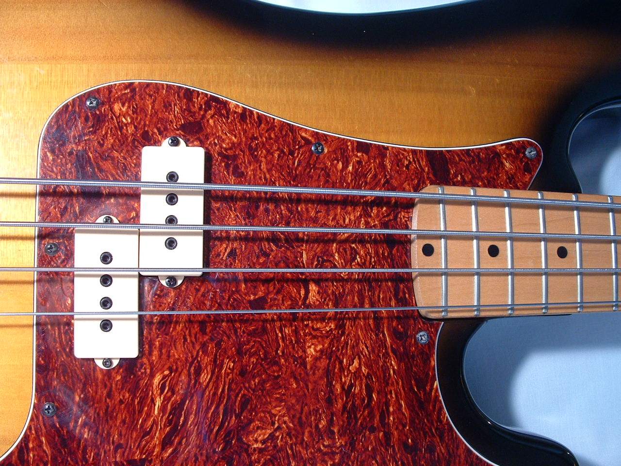 P Bass.JPG