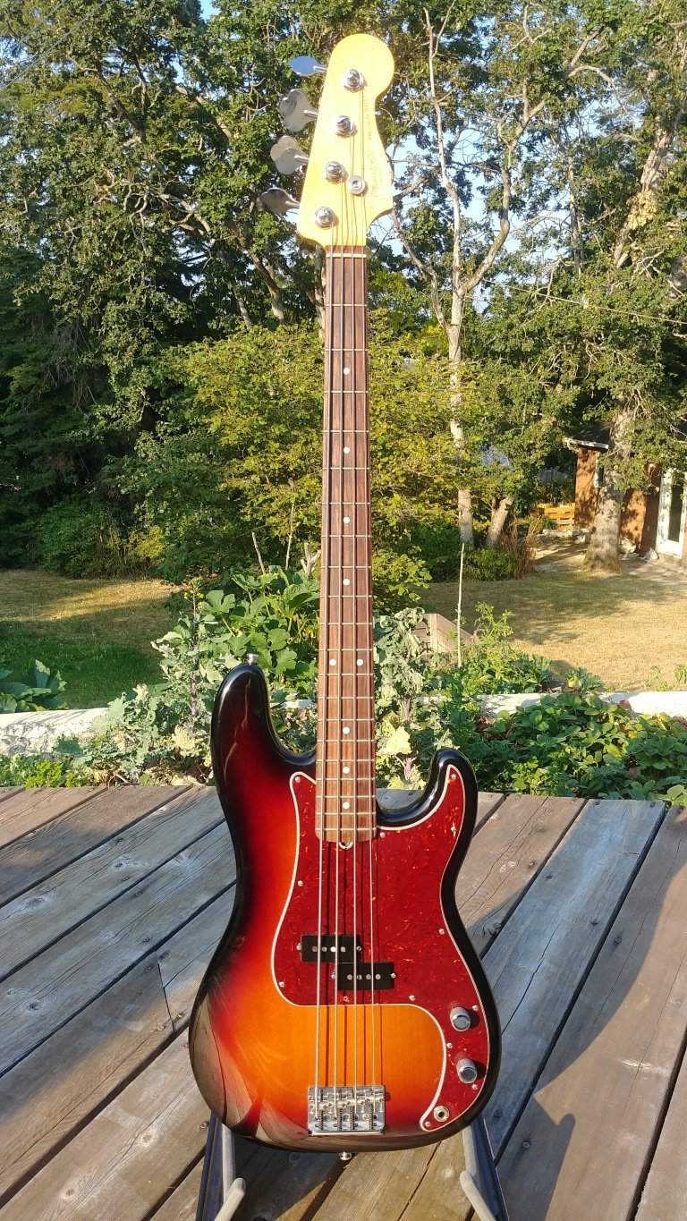 P bass (Medium).jpg