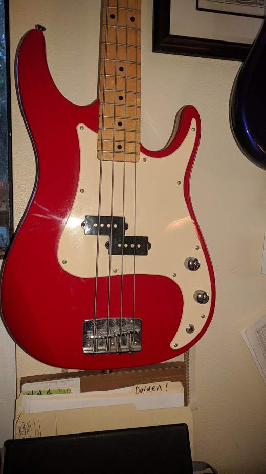 P bass1.jpg