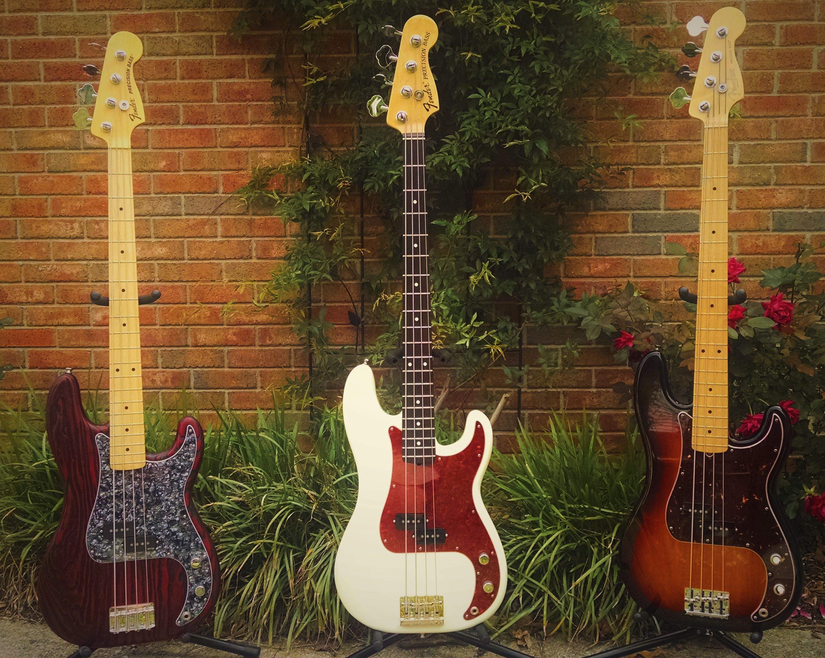 P basses (8).jpg