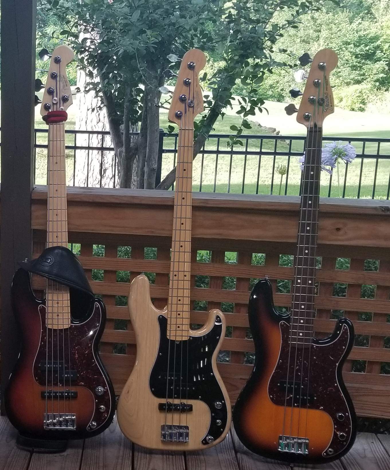 P Basses Only.jpg