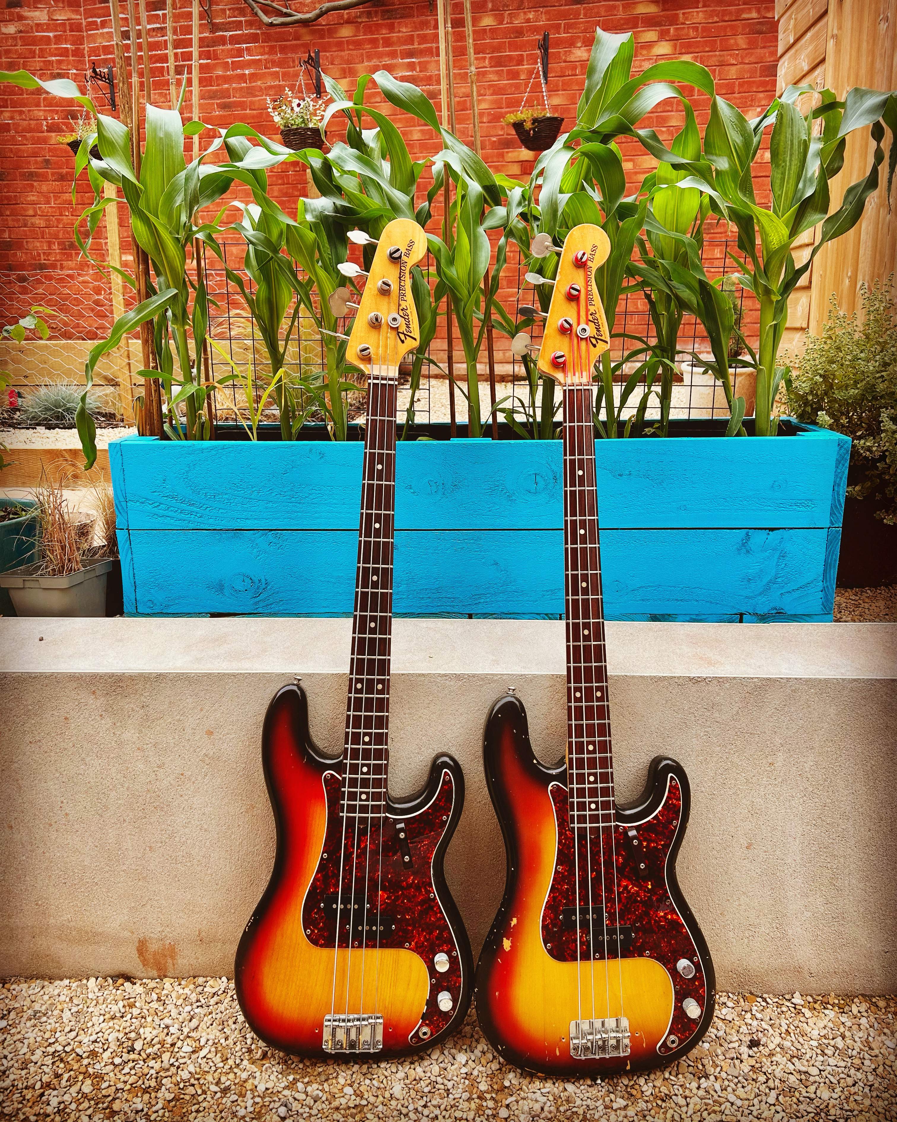 P Twins.JPG