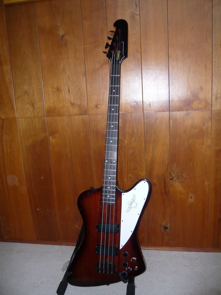 P1000016.jpg