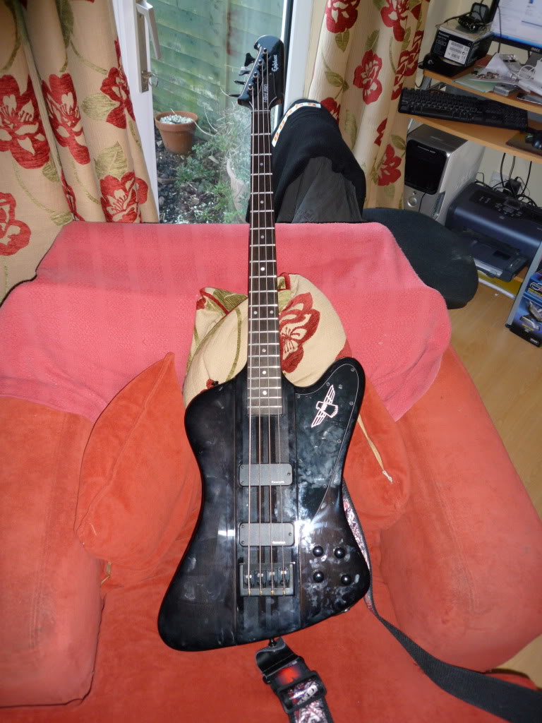 P1000034.jpg