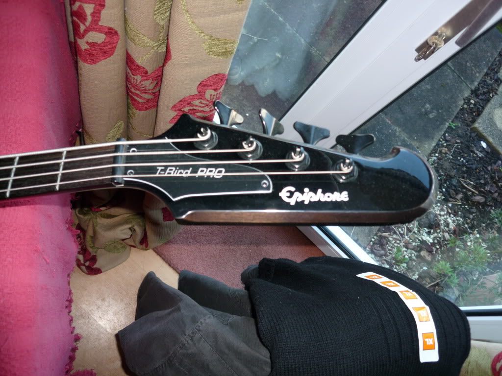 P1000035.jpg