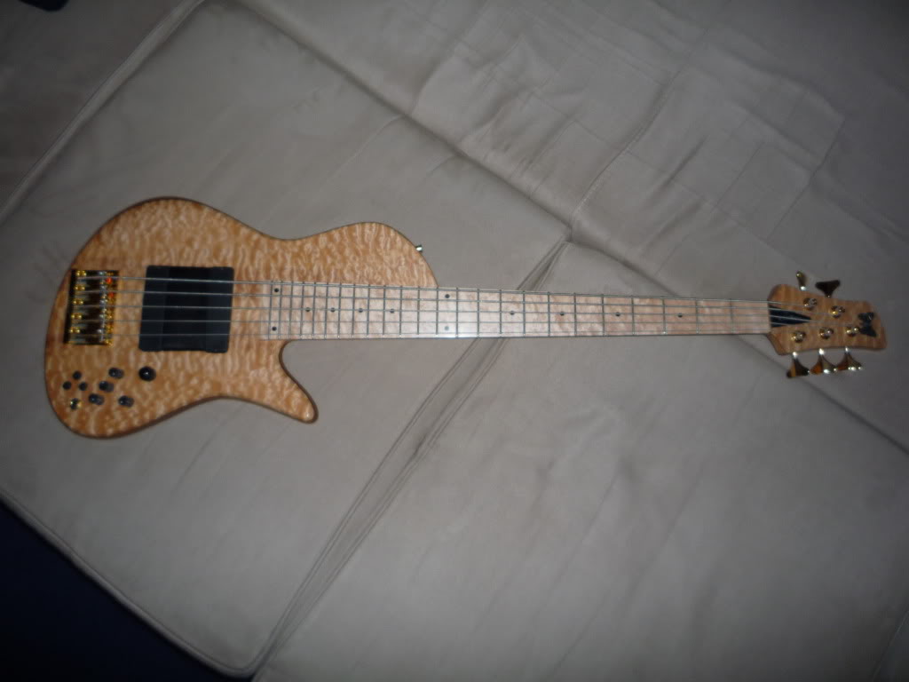 P1000424-1.jpg