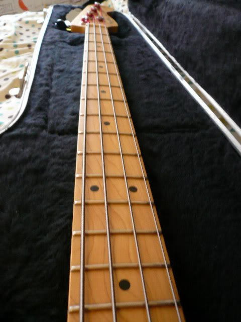 P1000424.jpg