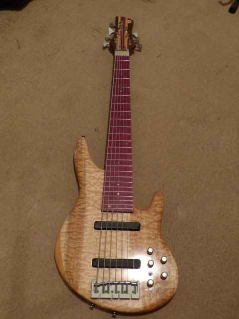P1000499.jpg