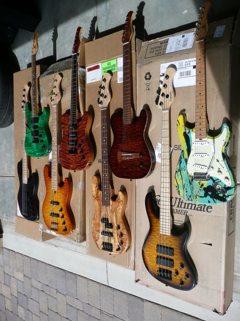 P1000599.jpg