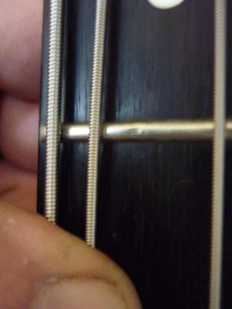 P1000616.jpg