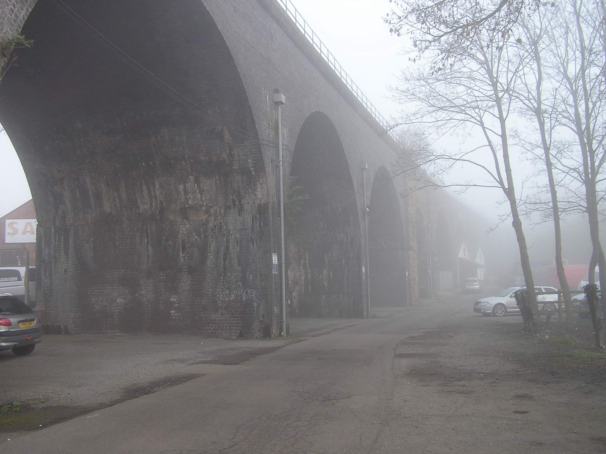 P1010004.JPG
